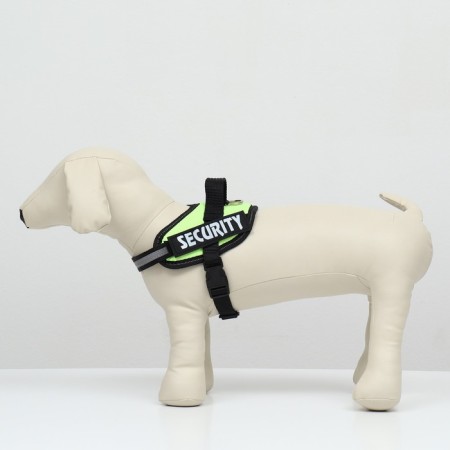 C9 harness is soft reflective, size xs, og 38-50 cm, weight 3-6 kg, green-1