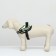 C9 harness is soft reflective, size xs, og 38-50 cm, weight 3-6 kg, green