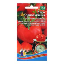 Semen Tomat 