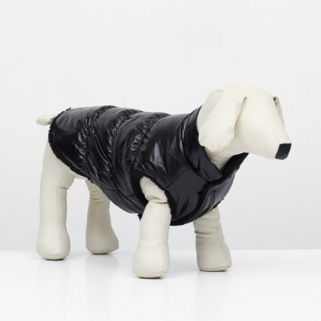 Dog jacket "Shine", S (DS 25, OG 37, Osh 24 cm, up to 5 kg), black-1