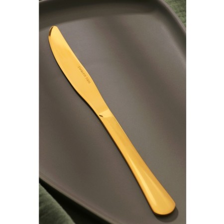 Knives dining rooms "Gold", length 23.5 cm, 6 pcs, gold color-1