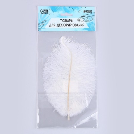 Feather for decor, size: 20-24 cm, white color-5