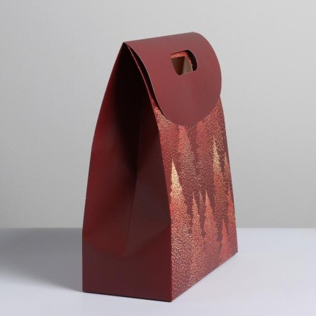A package with a valve "Wonderful New Year", 26 x32 x12 cm, New Year-2