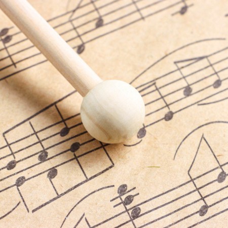 Musical instrument Gong Music Life 9 cm, Kolotushka in the kit-2
