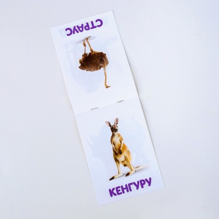 Doman's cards with puzzles "Zoo"-3