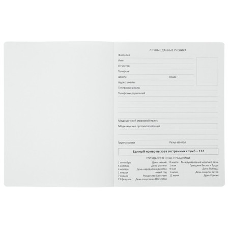 Universal diary for grade 1-11 Oxford, hard cover, artificial leather, thermotisia, lies, 48 ​​sheets-3