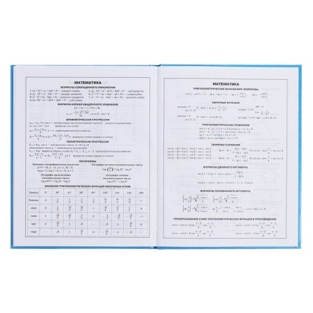 Diary for grades 5-11, 48 sheets "Inspiration!", Firm cover, glossy lamination, block 60 g/m2-13