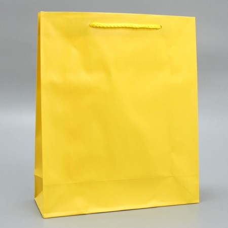 Gift package laminated, packaging, "yellow", ml 21 x 25 x 8 cm-2