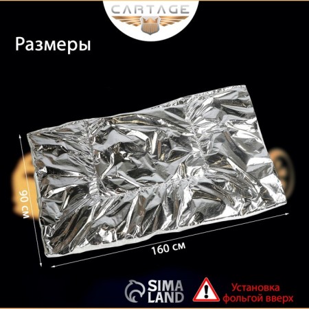 Authorized for the engine Cartage, 160 x 90 cm, foil-2
