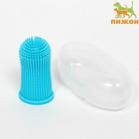 Brush for brushing animal teeth, 5.5 x 2.5 cm, blue, container 7 x 4 cm