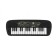 Synthesizer "Musician", 19 keys