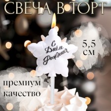 Candle in the cake 