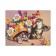 Print for embroidery with ribbons on the Gabardin "Kittens in Colors"