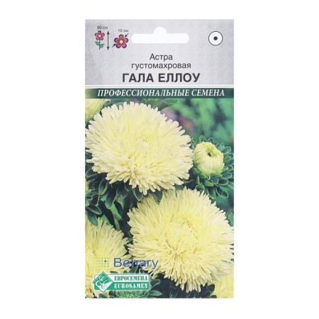 Flower seeds Astra Deremallic Gala Ello, 10 pcs