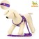 Set "Color Transes", leash 120 x 1 cm, fire 23-35 cm, purple