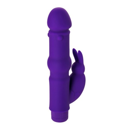 Unrealistic vibrator Toyfa A-Toys, silicone, purple color, 18 cm-9