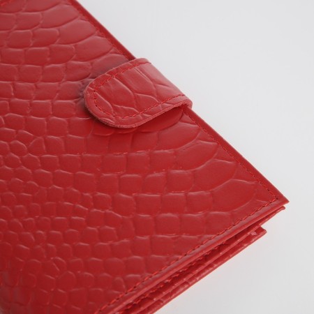 Cover for autoDocations and passports, red color-2