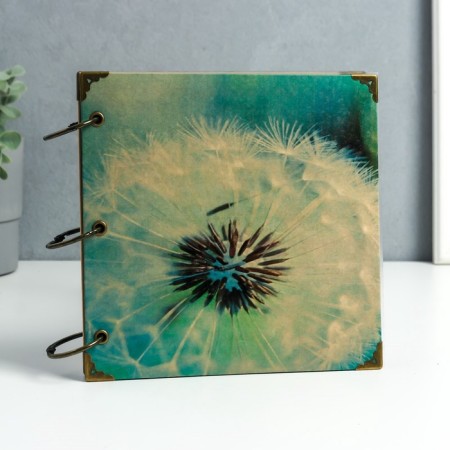 Photo album on rings 30 sheets "Dandelion" Black sheets 18.5x18.5 cm-2