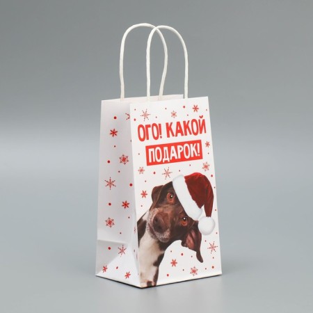 Package gift craft "Gift", 12 x 21 x 9 cm, New Year-1