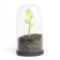 Sprout jar, 700 ml of bulk products container