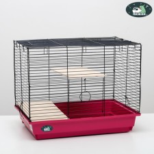 Cage for chinchillas 