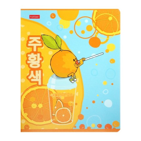 Notebook of 48 sheets of the "mischievous orange" cage, covered cardboard, selective matte varnish, block 65 g/m2, 5v mix-2