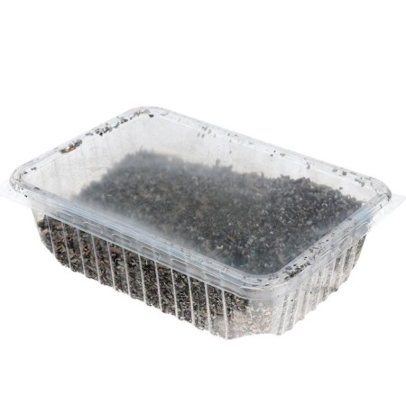 Elph Grass for Cats, a large container-2