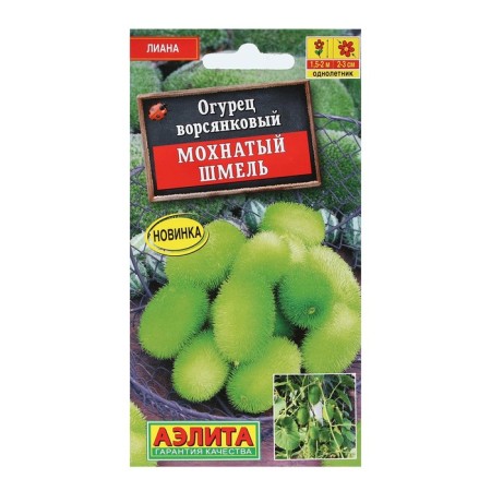 Flower seeds cucumber "furry bumblebee", 10 pcs