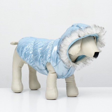 Dog jacket "Ease", size S (DS 24, OG 34, Osh 24 cm, up to 5 kg), Blue-3