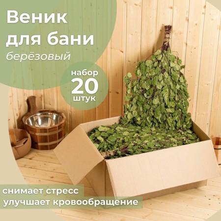 Broke for the bath Birch Bogatyrsky (set 20 pcs)