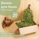 Broke for the bath Birch Bogatyrsky (set 20 pcs)