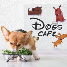 Protective self -adhesive film at the place of feeding/toilet of the pet 