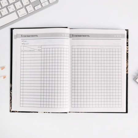 Diary of the Teacher "Golden Teacher", A5 format, solid cover cardboard 7BC, 160 sheets-9
