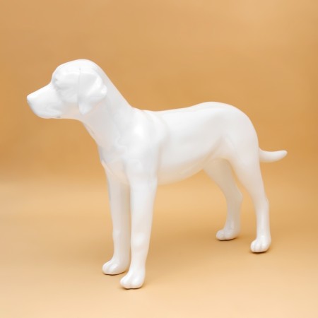 Dog mannequin, stagnant, collapsible, fiberglass, white-3