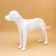 Dog mannequin, stagnant, collapsible, fiberglass, white