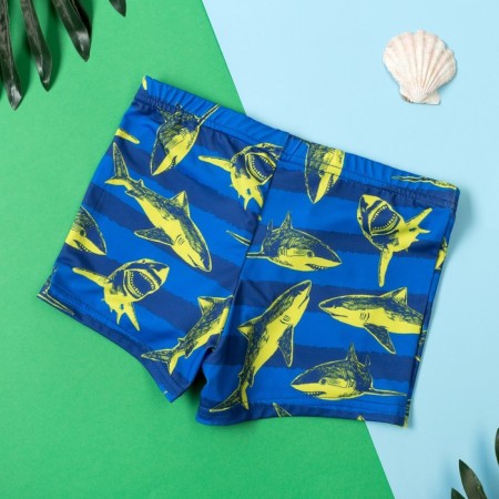 Bathing swimming trunks for the boy KAFTAN “Sharks”, height 122-128 (34), Blue color-4