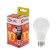 LED LED In Home LED-A60-VC, E27, 10 W, 230 V, 3000 K, 900 lm