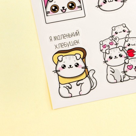 Paper stickers "Kus", 11 × 16 cm-1