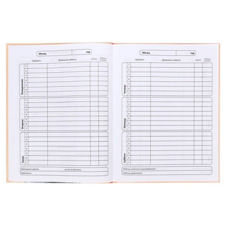 Diary solid cover 1-11 grade 48 sheets, "sweater", cardboard cover 7BC, glossy lamination, cheat sheet-6