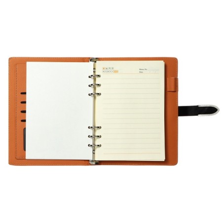 Organizer on the rings A5, 90 sheets in the ruler, with a stream, mix-6