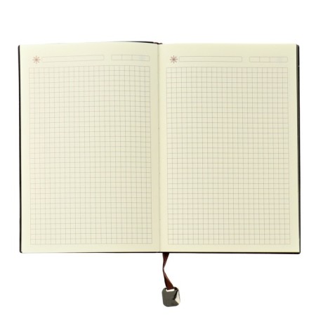 Diary Leduced A5,116 sheets in a cage, tinted cut, Light cover Mix-4