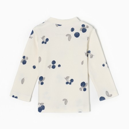 T -shirt with DL. Sleeve crumb I am Blueberry p. 62-68, milk-3