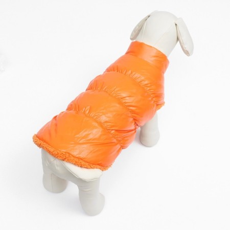 Dog jacket "Shine", s (DS 25, OG 37, Osh 24 cm, up to 5 kg), orange-3