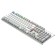 Keyboard A4Tech FSTYLER FS100 Neon Mechanical Gray/White USB for Gamer Led (FS100)