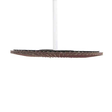 Circle of petal conical scrap, 125 x 22 mm, p120-3