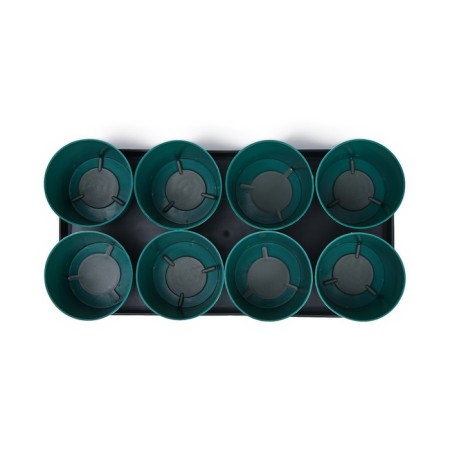 Set for seedlings: glasses of 500 ml (8 pcs), pan 40 × 20 cm, color mix, Greengo-13