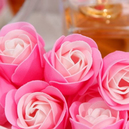 Soap rose, white-pink-3