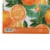 Glossy packaging paper “Bright tangerines”, 50 x 70 cm, New Year