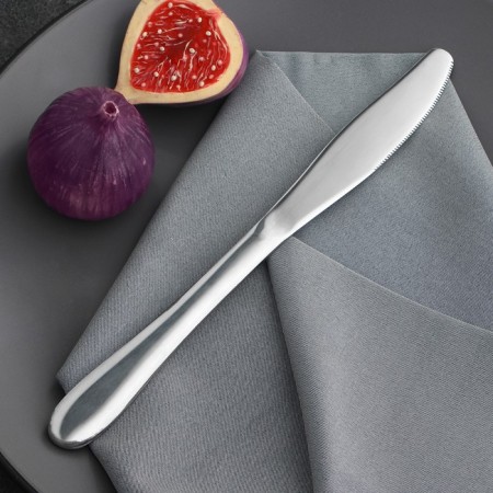 Stainless steel knife, length 23 cm, silver color