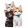 Puzzles wooden figured "kittens", 146 elements